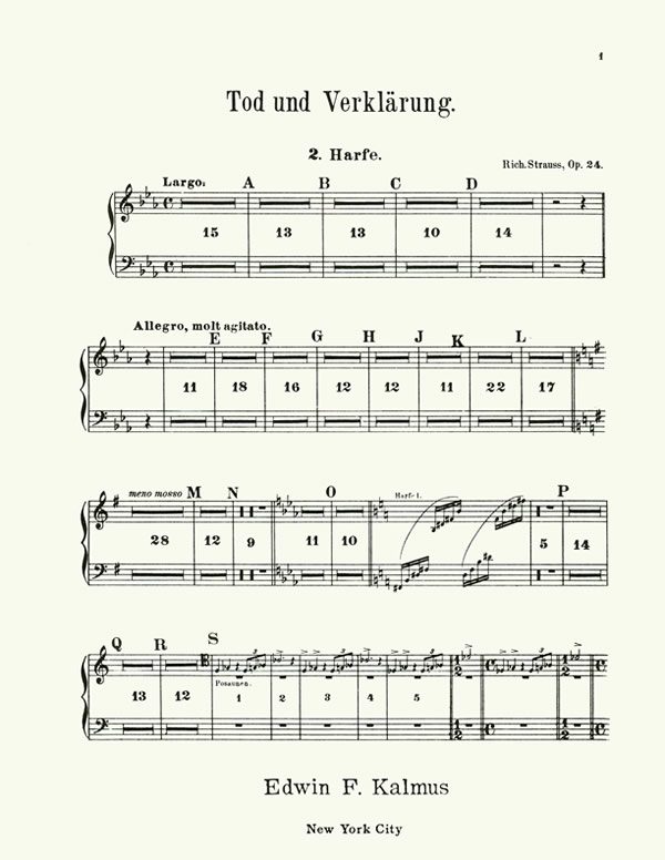 Death and Transfiguration (harp 2)