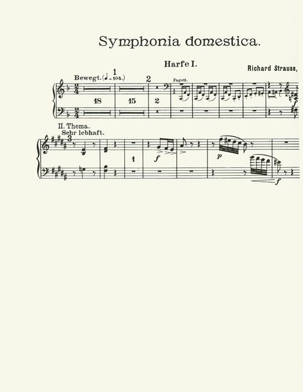 Sinfonia Domestica (harp part)