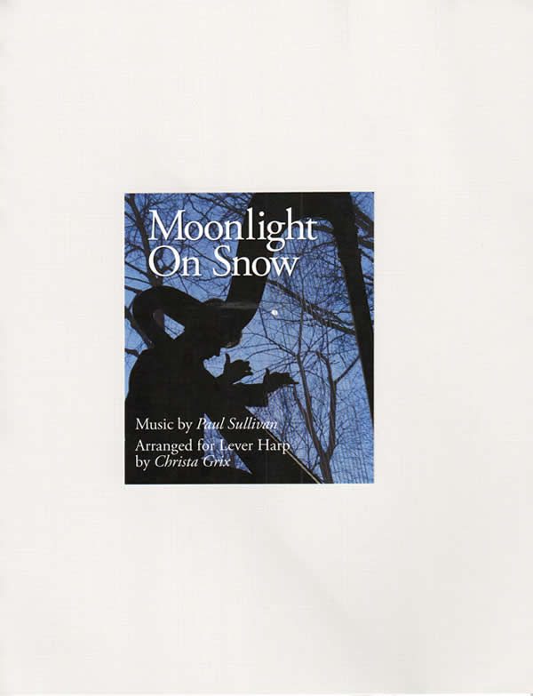Moonlight on Snow