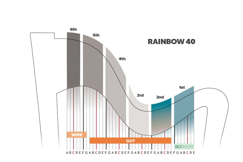 Rainbow 40