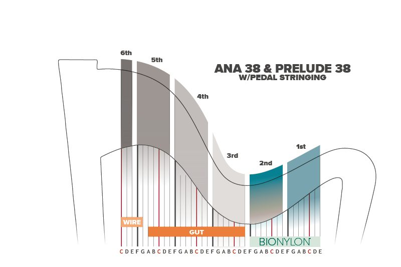 Ana 38 Pedal Stringing