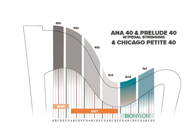 Chicago Petite 40