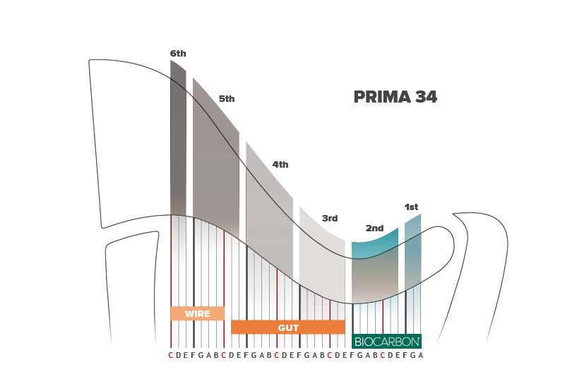 Prima 34