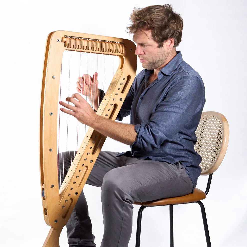 Harp-E Electric Harp Plug & Play w/Bag & Strap - Image 18